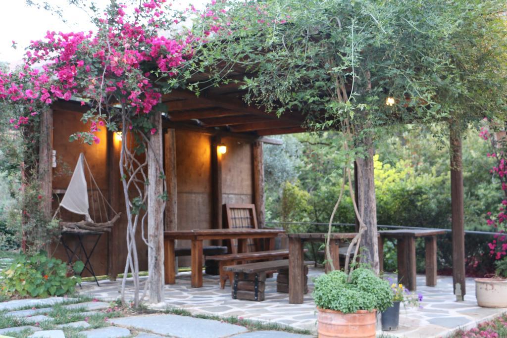 Naiades Villas Karystos  Ngoại thất bức ảnh